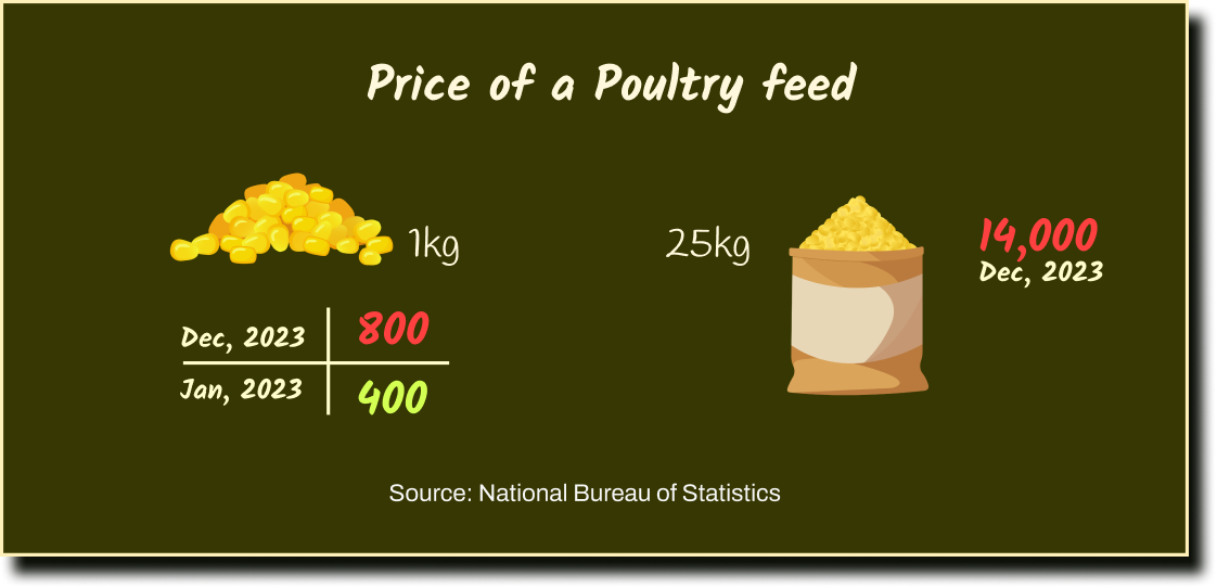 Infographics showing the cost of poultry feed per 1kg and 25kg
